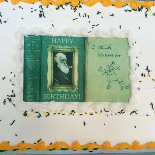 Darwin cake 
