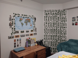 Image of Vyara's dorm room featuring a map, pictures, and vine decorations.