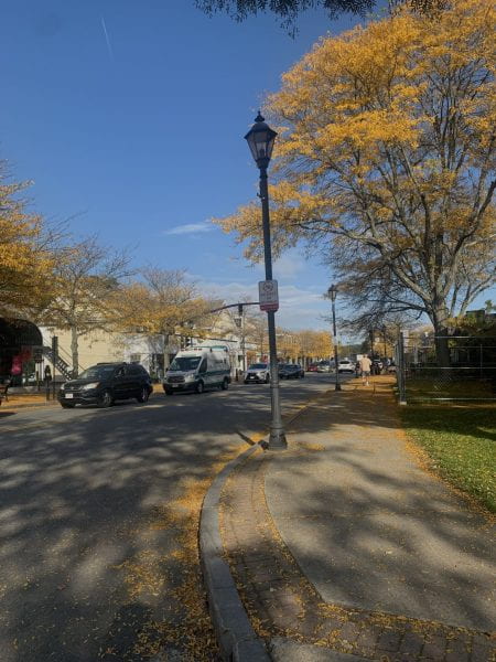 View of Wellesley with autumnal trees and yellow leaves on the ground