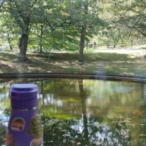 Image of a peaceful pool of water surrounded by trees and green spaces with a purple, sticker-covered waterbottle in the foreground.