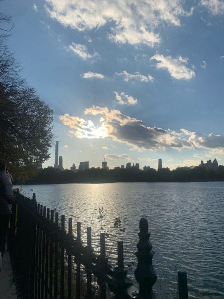 New York City skyline seen across a pond in Central Park.