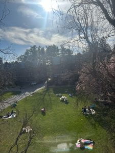 Image of a green quad with students enjoying the nice weather on the grass.