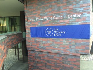 Wellesley Effect Banner