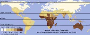 Global skin color distribution based on the work of Italian geographer Renato Biasutti (Le razze e i popoli della terra). Skin color distribution  has been shown to correspond with the levels of ultraviolet radiation in a region. 